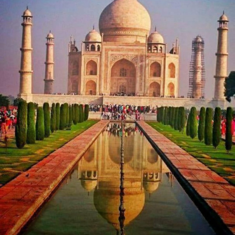 Meet your Posher, Ayur